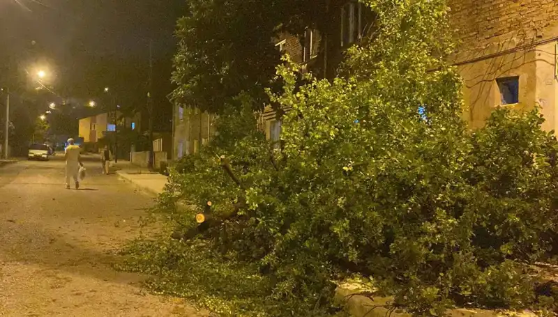 Karabük’te Fırtınanın Vurduğu Alanların Durumu ve Olası Etkileri