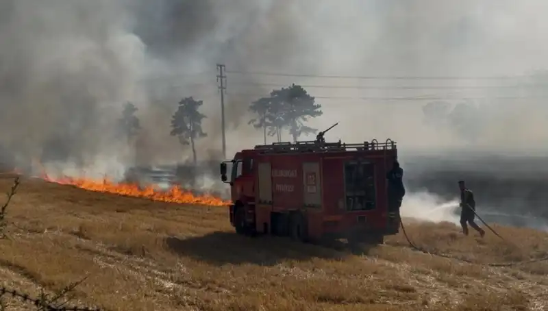 Kırklareli'nde Korkutan Anız Yangını: Ekipler Seferber Oldu