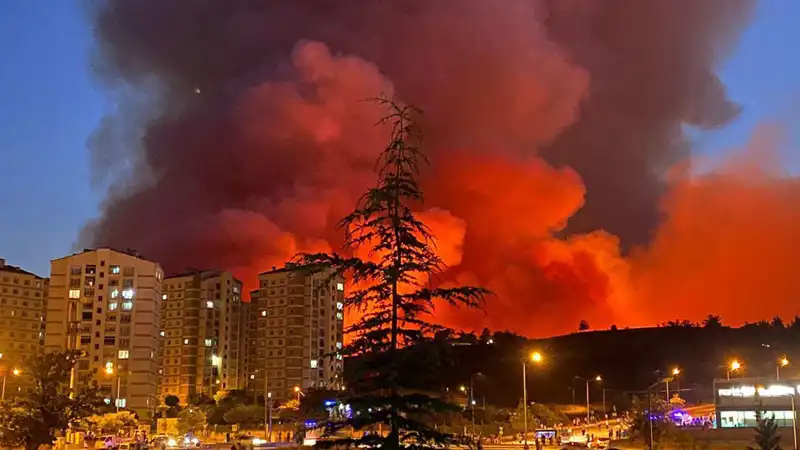 Bursa'da Yangın Alarmı: Şehri Kasıp Kavuran Alevler Neden Yükseldi?
