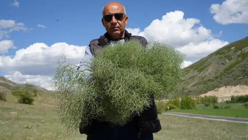 Doğanın Protein Deposuna Ulaşmak İçin 15 Kilometre Yol Alan Gelenekçiler