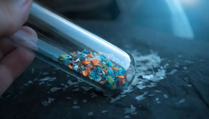 Mikroplastikler: İnsan Beynine Ulaşan Tehlikeli Kirleticilerin Etkileri