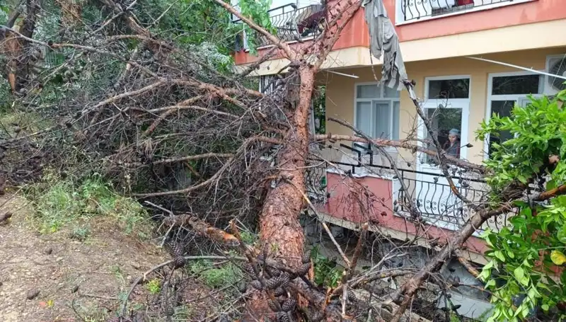 Yağmurların Zayıflattığı Bina Çöktü: Şaşkınlık Yaratan Olay