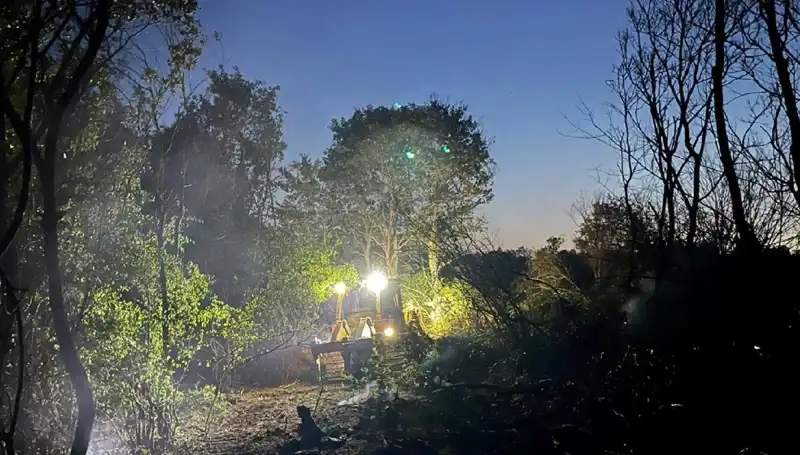 Edirne'de Çıkan Orman Yangını Kontrol Altına Alındı, Paniğe Neden Oldu