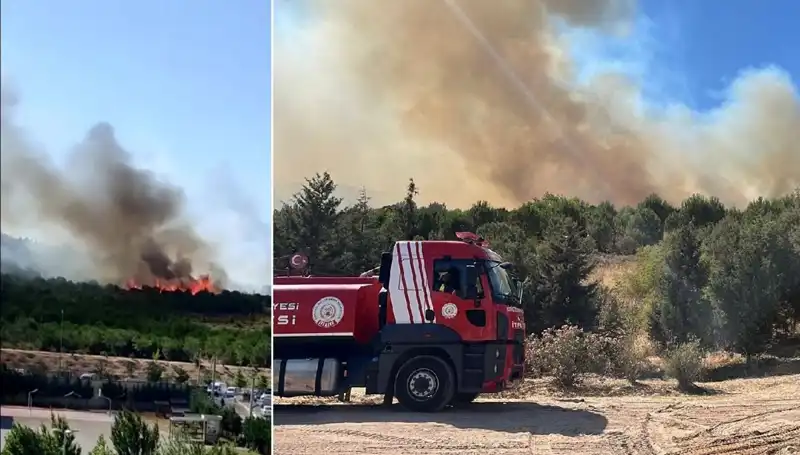 Gebze'de Korkutan Orman Yangını: Yangının Sebebi ve Sonuçları Neler?