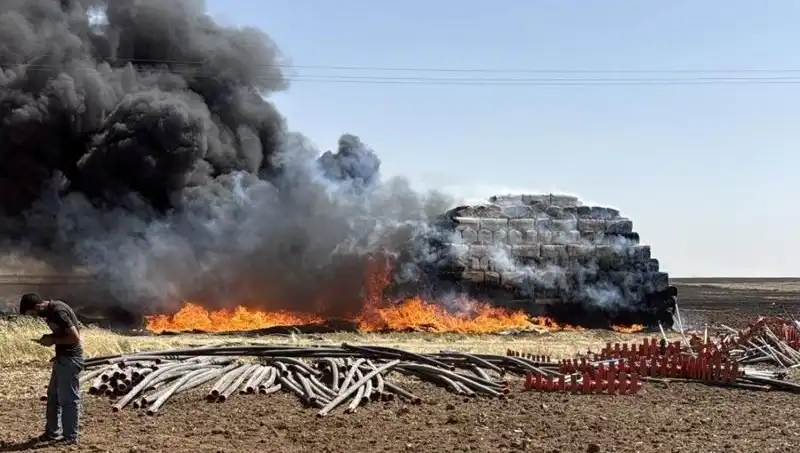 Mardin'de Anız Yangını: Tarım Alanları Tehlikede ve Doğa Mahvoluyor!