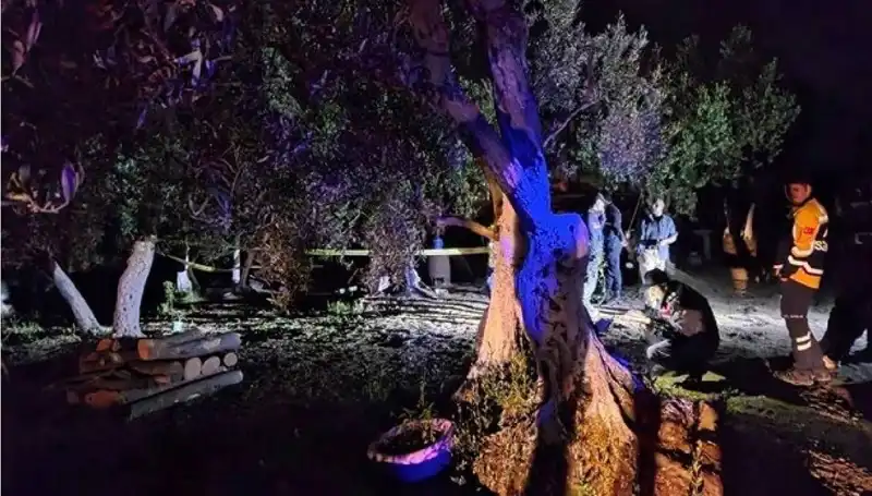 Çiftlikteki Balta ile Yapılan Vahşet Olayında İlk Tutuklama Gerçekleşti!