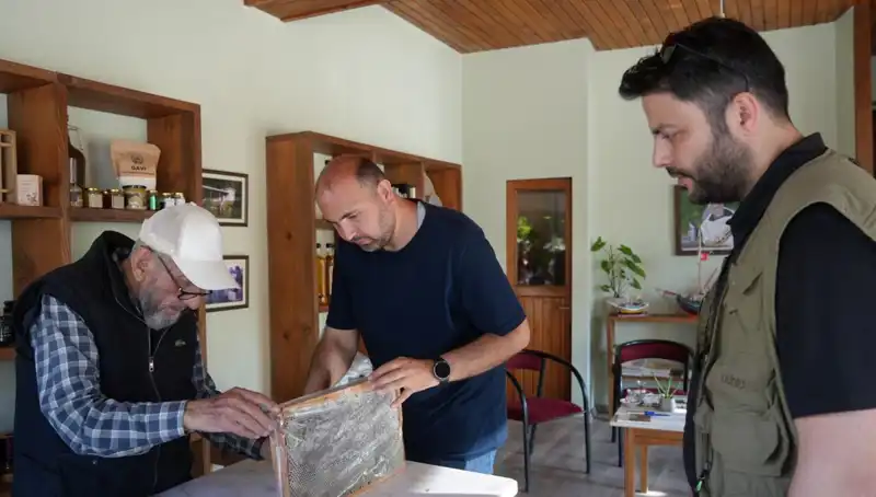 Doktor Tavsiyesi ile Tüketilen Bu Doğal Şifanın İki Yüzü