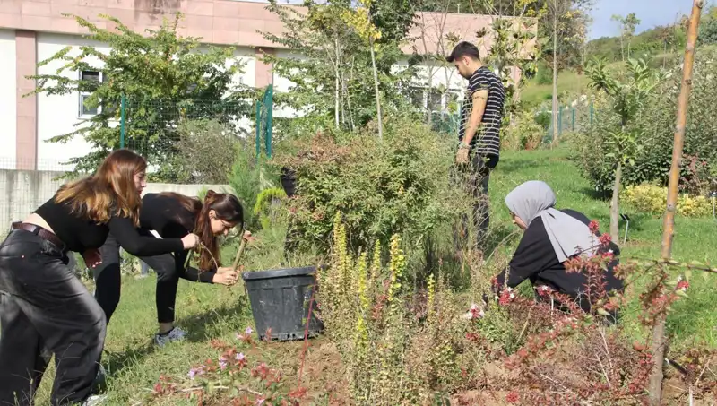 Düzce’den Dünyaya Açılan Pencere: Hayalden Gerçeğe Uzanan Başarı Hikayesi