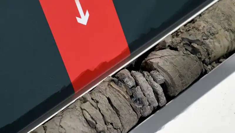 Müze Otoparkında Eşsiz Bir Keşif: Dinozor Fosili Ortaya Çıktı