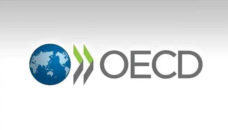 OECD, Türkiye İçin Büyüme Tahminini Güncelledi ve Beklentileri Değiştirdi