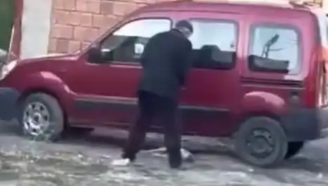 Sokak Ortasında Köpeğe Uygulanan Şiddet Vahşeti: Gözdeki Nefret
