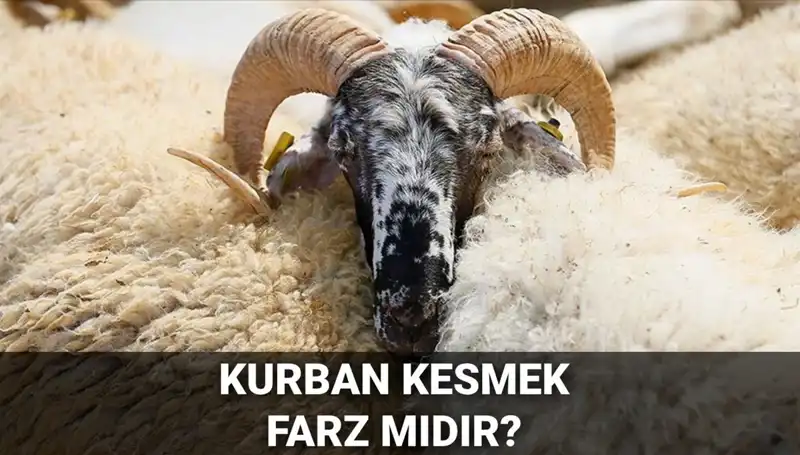 Kurban Kesmek Farz mı? Diyanet'in Değerlendirmesi ve Şartlar