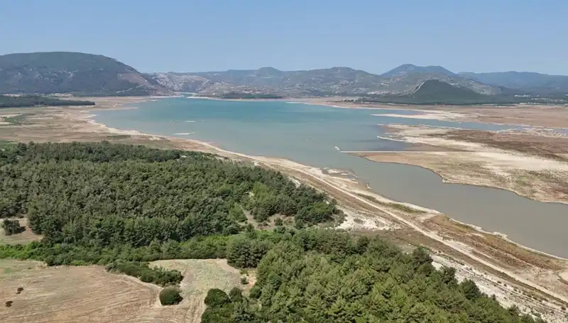 İzmir’de Tehlike Çanları: Kayıp Yüzde 50, Endişe Sarmalında!