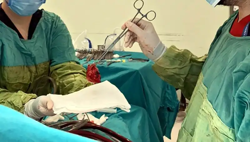 Kalp Kapağındaki Çürük, 7 Saatlik Ameliyatla Tedavi Edildi: Mucize Gibi Başarı